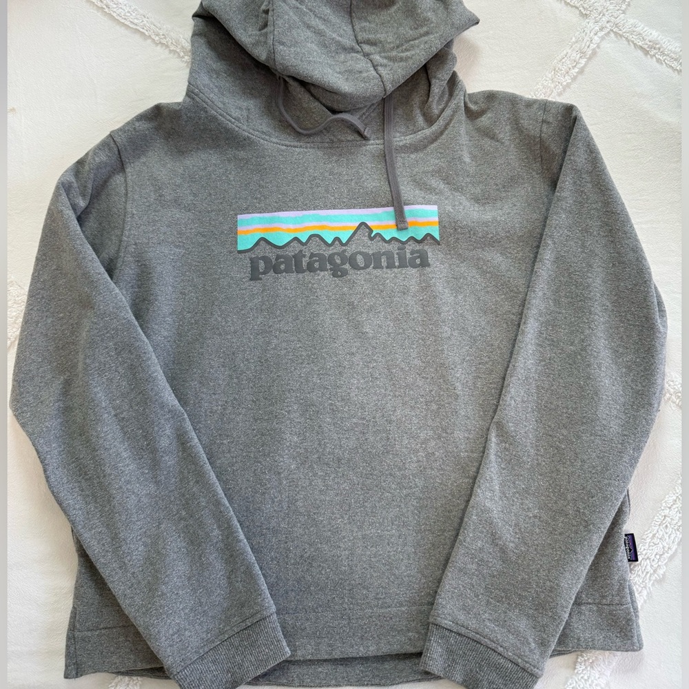 Patagonia Sweatshirt
